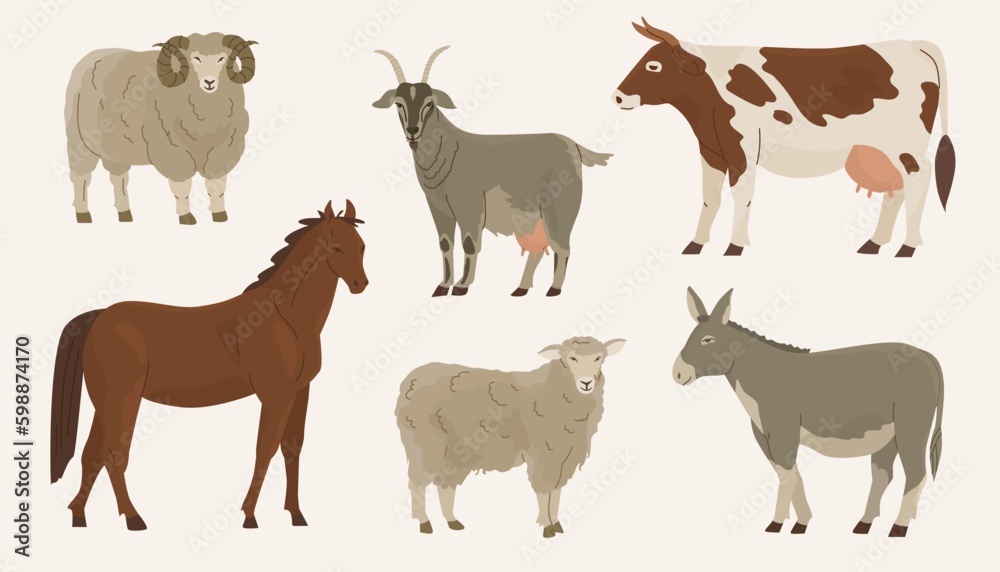 Set of 6 ungulates. Domesticated animals. Cow, goat, ram, sheep, donkey, horse. Farm pets. Household. Vector illustration. Isolated objects on white background. Set of 6 ungulates. Domesticated animals. Cow, goat, ram, sheep, donkey, horse. Farm pets. Household. Vector illustration. Isolated objects on white background.