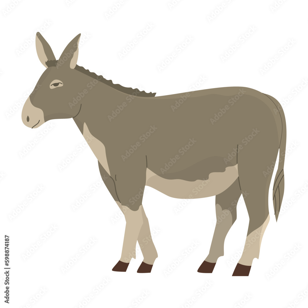 Gray donkey. Draft animal. Livestock. Farm pets. Household. Vector illustration. Isolated object on white background. Gray donkey. Draft animal. Livestock. Farm pets. Household. Vector illustration. Isolated object on white background.