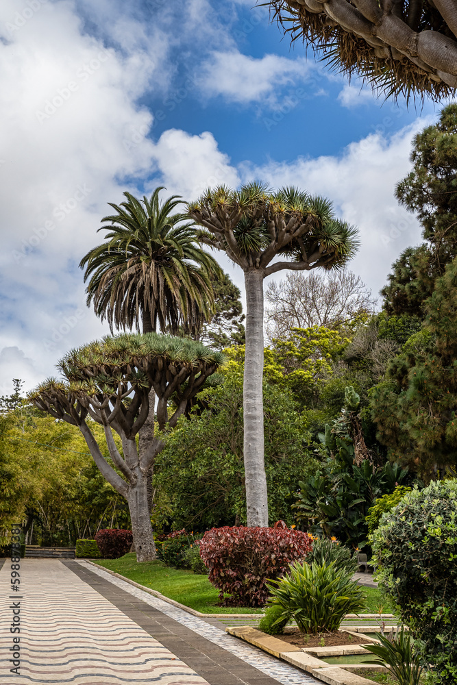 View of city park, garden at old town center of Arucas, Gran Canaria, Canary islands, Spain. View of city park, garden at old town center of Arucas, Gran Canaria, Canary islands, Spain.
