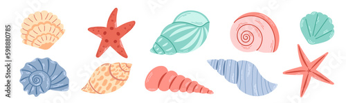 Set of colored sea shells, molluscs, sea snails, starfish. Modern flat illustration of seashells isolated on white background.