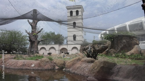 Mike the Tiger laying down inside the sanctuary on the campus of Louisiana State University with stable video. photo