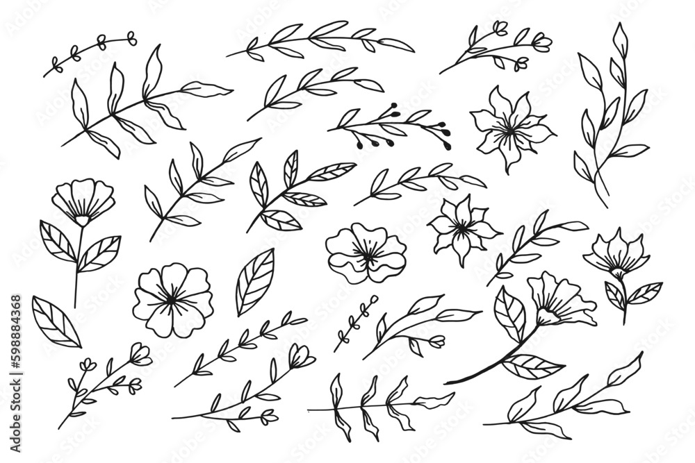 A collection of hand drawn leaves and flower decorative floral element