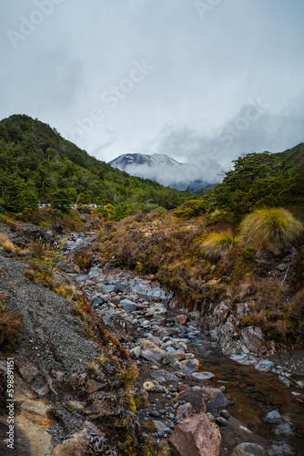 Majestic snow-patched Mount Ruapehu rising behind rocky riverbed with evergreen trees on the banks. Ohukune Mountain Road, North Island, New Zealand © Irina B