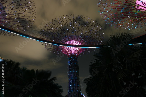 Singapores garden by the bay with a long expusure by night, out of focus. photo