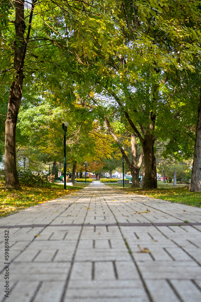 Beautiful walking path among the trees in the site
