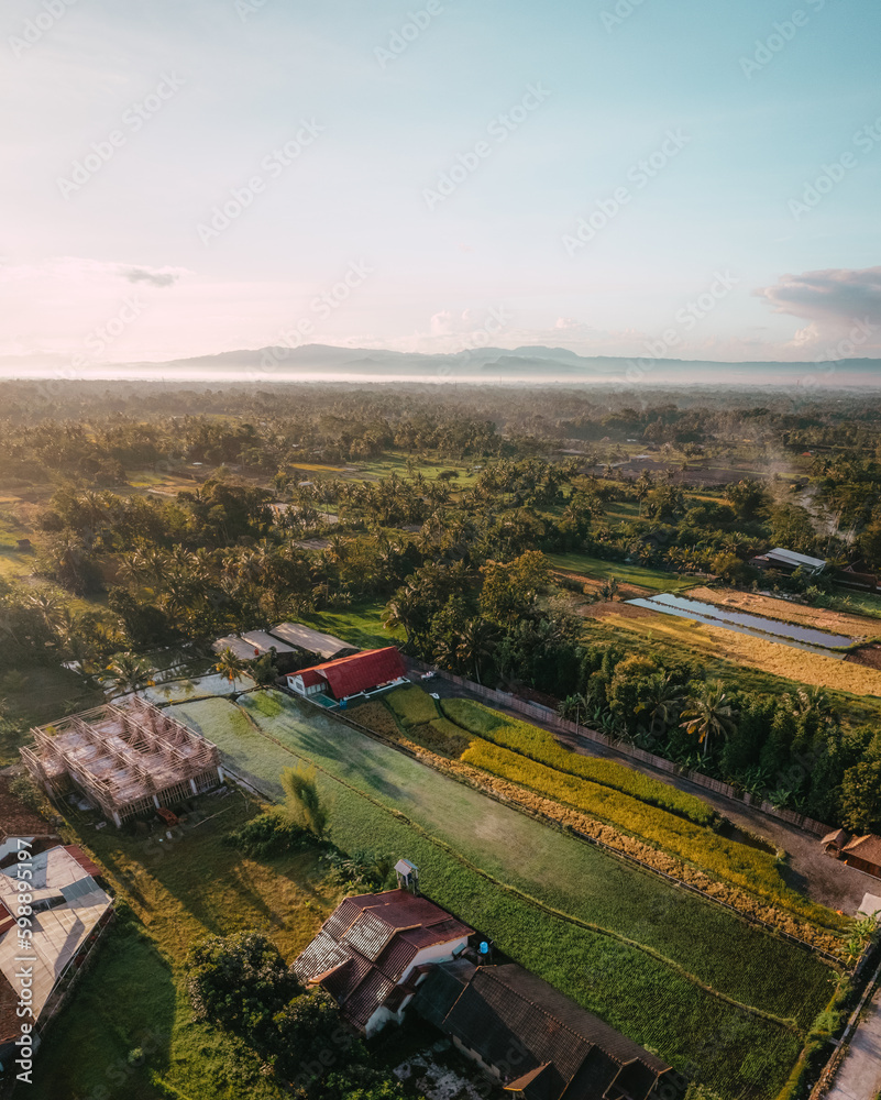 A sky view of the barn and ricefields at rural area near Yogyakarta during sunrise