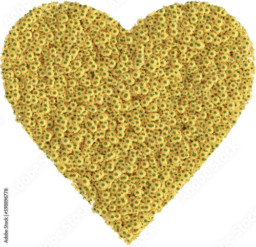 Flower garden in the shape of a heart