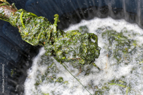 jardin de mr christian quintin