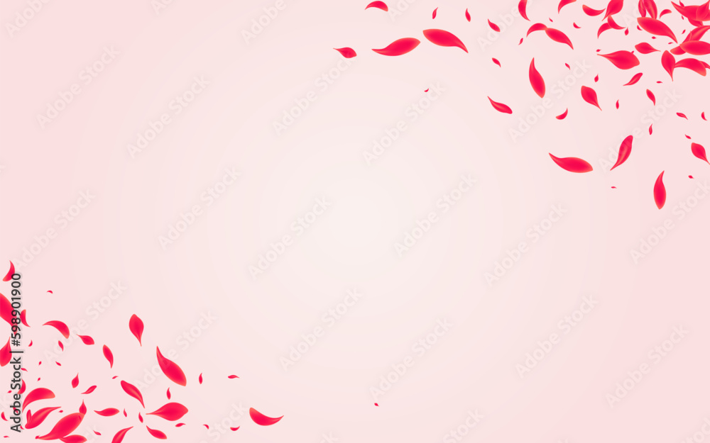 Scarlet Cherry Vector Pink Background. Blur Lotus
