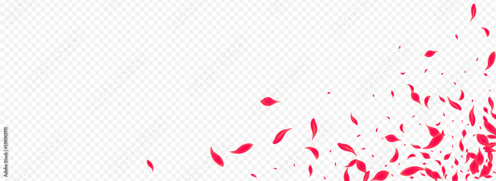 Red Cherry Vector Transparent Panoramic
