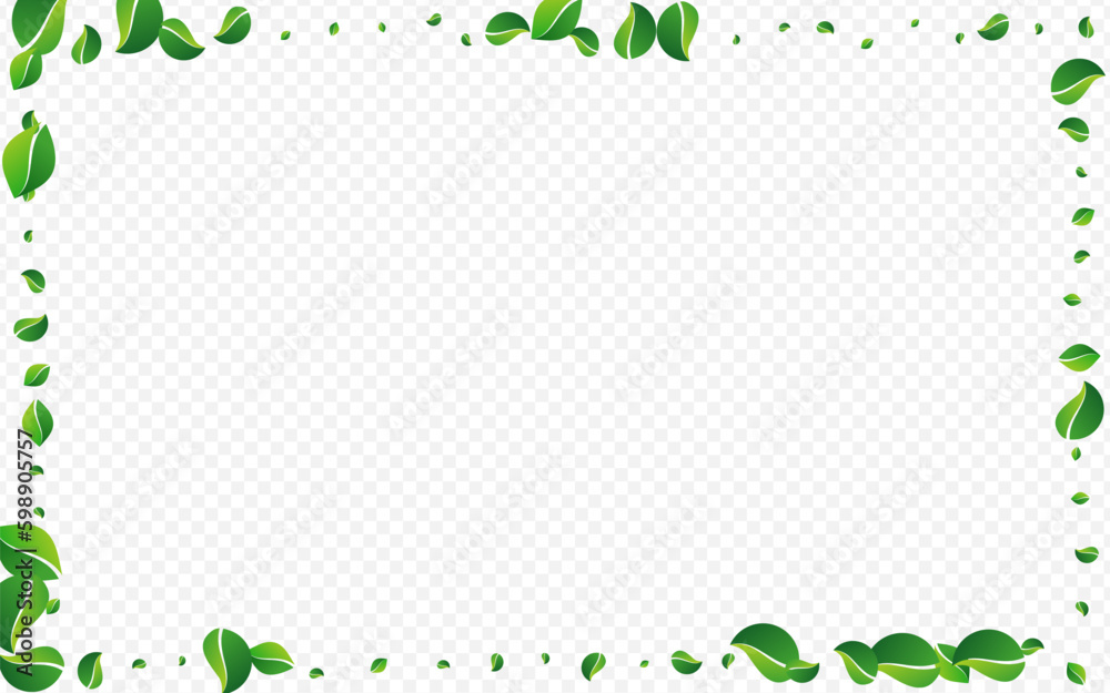 Olive Foliage Realistic Vector Transparent Olive Foliage Realistic Vector Transparent
