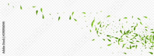 Lime Leaf Transparent Vector Panoramic