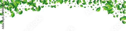 Olive Greens Flying Vector Panoramic White