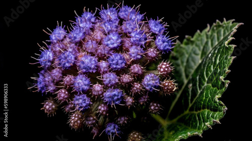 Ageratum conyzoides flower. Generative AI