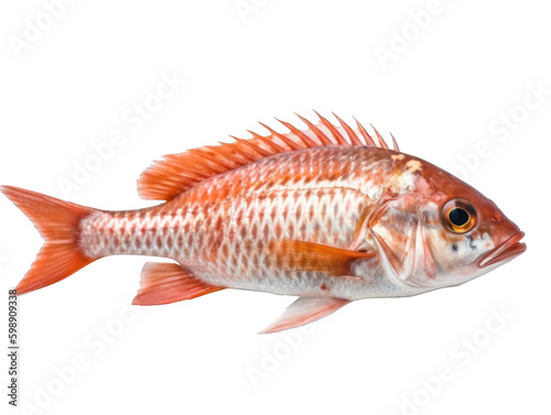 poisson rouget détouré