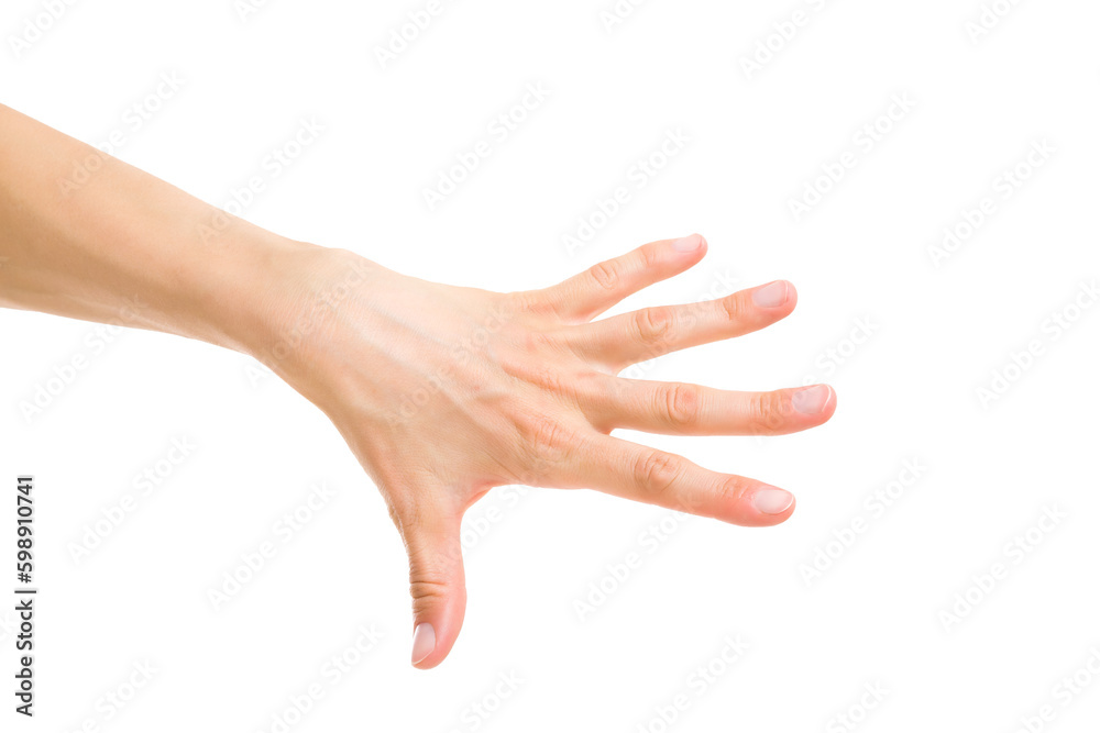 Young adult woman stretched hand isolated on white background. Closeup. Side view.