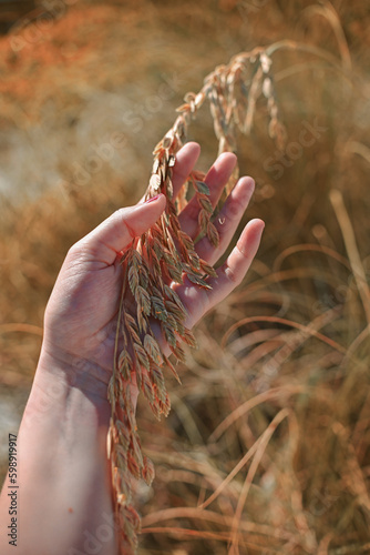 Woman s hand close-up holding a plant growing on the beach. 