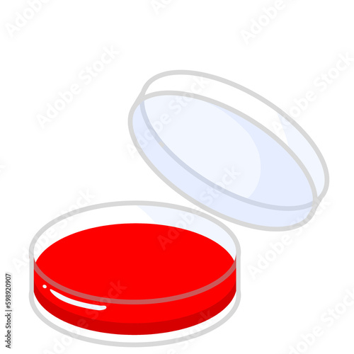 The isolation of bacteria on agar plates. Lactose fermenters turn red or pink and nonfermenters do not change color on MacConkey agar. Petri dish illustration.