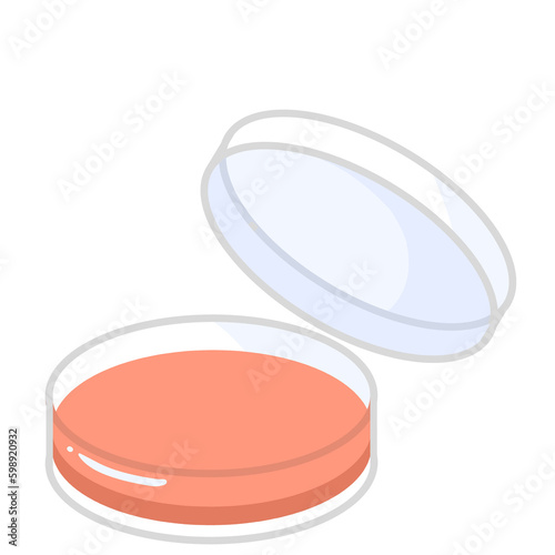 The isolation of bacteria on agar plates. Lactose fermenters turn red or pink and nonfermenters do not change color on MacConkey agar. Petri dish illustration.