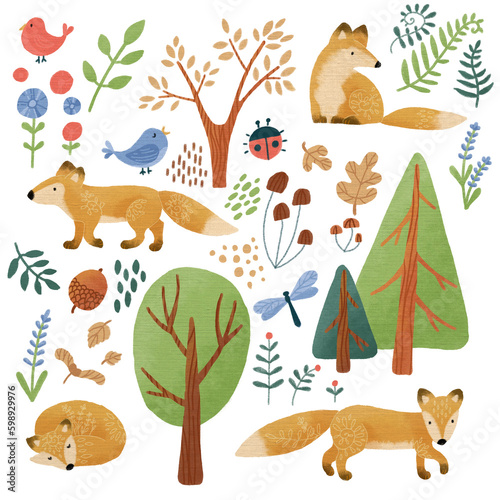 Fototapeta Naklejka Na Ścianę i Meble -  Forest animals kids cute handpainted individual elements set with a fox, trees, leaves and flowers.