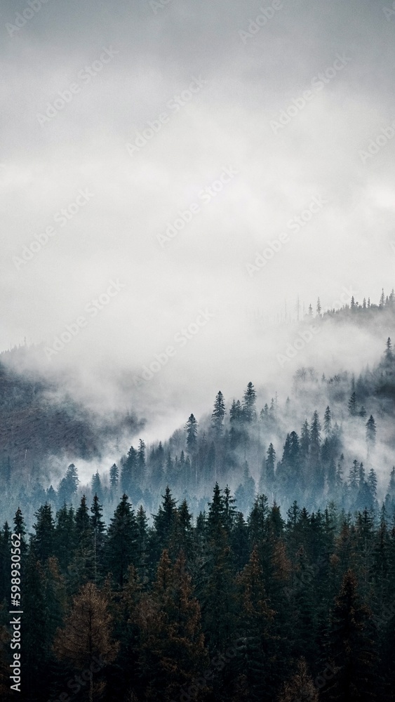 Tatry park narodowy, góry w chmurach mgle, krajobraz gór mountain