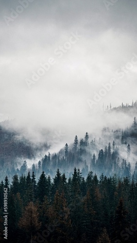 Tatry park narodowy, góry w chmurach mgle, krajobraz gór mountain