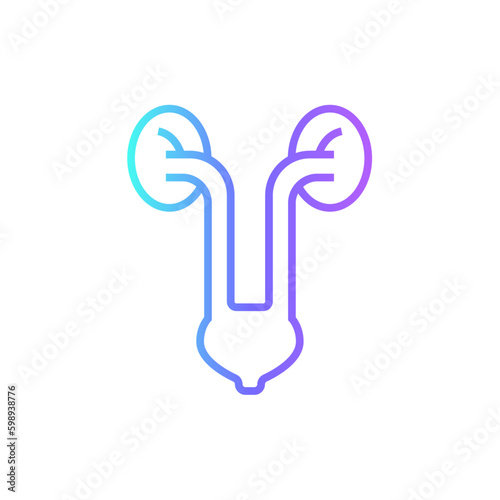 Kidney Digital Healthcare icon with blue duotone style. anatomy, human, organ, body, urology, anatomical, stomach. Vector illustration