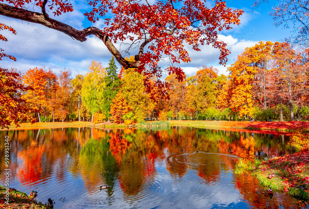 Alexander park in fall, Pushkin (Tsarskoe Selo), Saint Petersburg, Russia