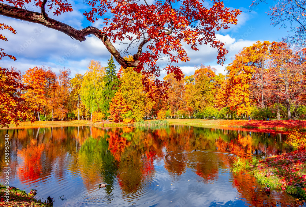 Alexander park in fall, Pushkin (Tsarskoe Selo), Saint Petersburg, Russia