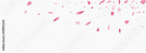 Purple Blooming Vector Panoramic Transparent