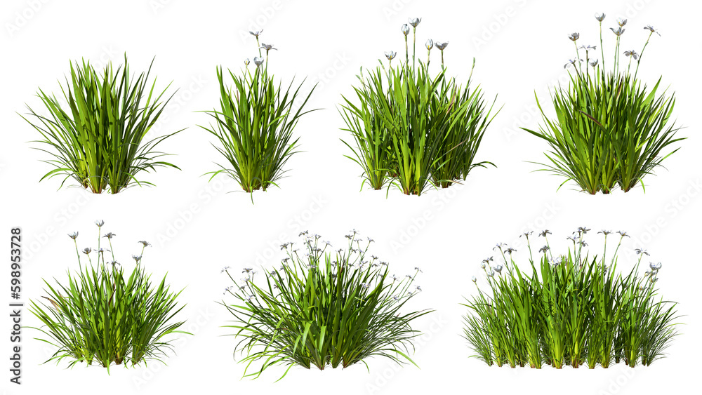 Grass meadow flowery shapes cut out 3d rendering png - obrazy, fototapety, plakaty 