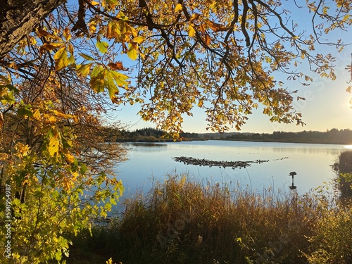 Maisinger See, Bayern. Im Herbst.