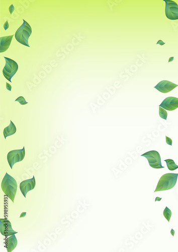 Grassy Leaves Motion Vector Green Background