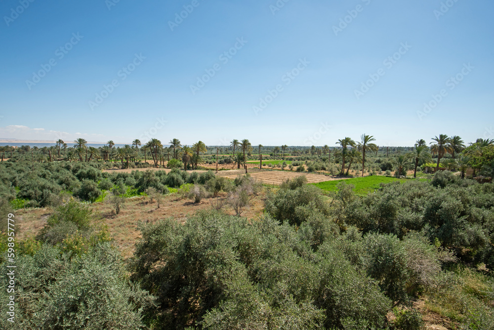 Panoramic view over remote african farmland with lake