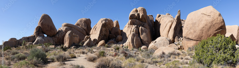 Joshua Tree NP, California, USA - December 1, 2021:  Rock formations, giant bouders and iiconic Joshua Tree forests attract outdoor enthusists from around the world.