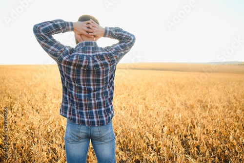 Agronomist inspecting soya bean crops growing in the farm field. Agriculture production concept. young agronomist examines soybean crop on field in summer. Farmer on soybean field.