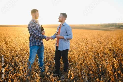 Two farmers in a field examining soy crop at sunset