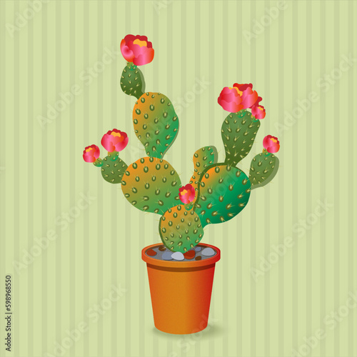 Blooming prickly pear in a pot.