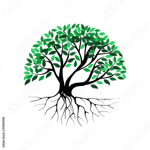 rooted tree logo design. banyan tree with circular shape