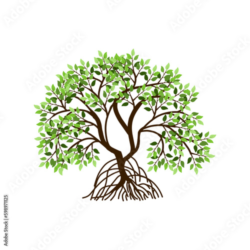 tree vector illustrations  roots  mangrove tree