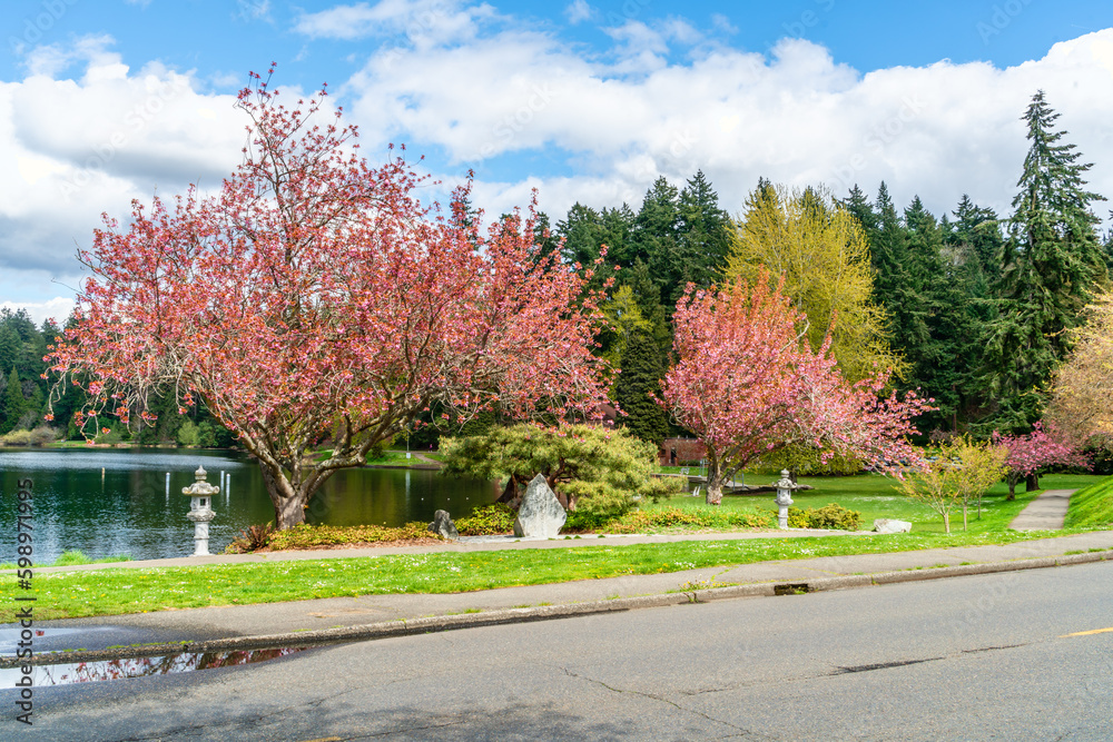 Lake Washington Boulevard Flowers 9 Lake Washington Boulevard Flowers 9