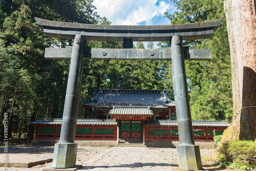 Old torii gate in forest in Nikko