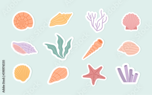 A hand-drawn set of shells and underwater plants