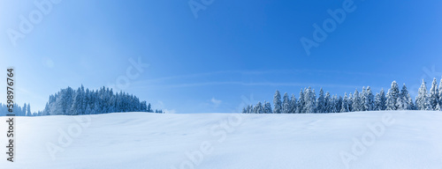 Verschneite Winterlandschaft mit schneebedeckten Tannenbäumen bei Sonnenlicht...