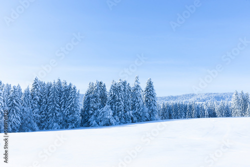 Verschneite Winterlandschaft mit schneebedeckten Tannenbäumen bei Sonnenlicht und blauem Himmel © by-studio