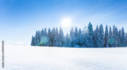 Verschneite Winterlandschaft mit schneebedeckten Tannenbäumen bei Sonnenlicht...
