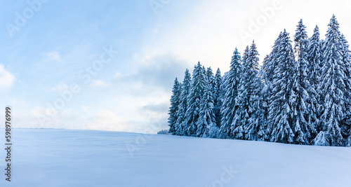 Verschneite Winterlandschaft mit schneebedeckten Tannenbäumen bei Sonnenlicht...