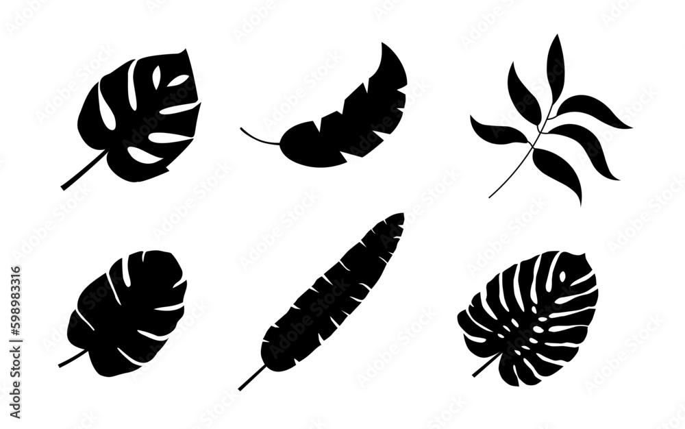 Exotic, tropic palm leaves set. Botanical summer beach shadow leaf silhouettes (Full Vector)