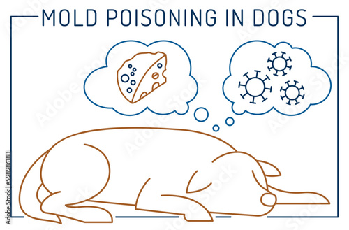 Mold poisoning, inflammation. Common ear problems in dogs.