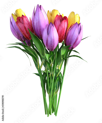 Fototapeta Naklejka Na Ścianę i Meble -  Flower composition. Beautiful colorful spring flowers isolated on trasparent background.  isolate, Mothers Day, Womens Day concept. Copy space, top view, flat lay.